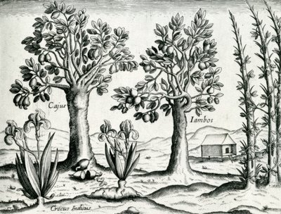 Landscape, Illustration from 